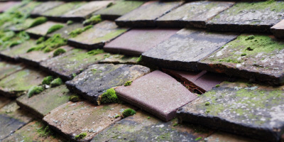 Henfield roof repair costs